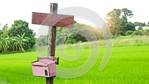 Wooden Signs and mail box hold wooden post on cornfield