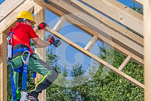 Wooden Skeleton Frame Building Performed by Caucasian Construction Worker photo