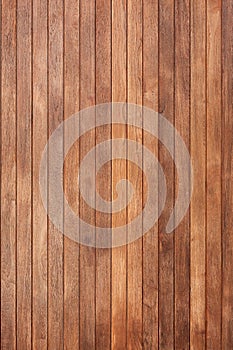 Wooden skin background.