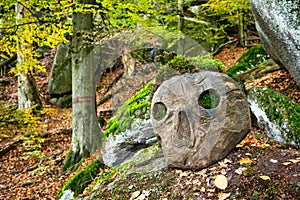 Wooden skull in autumn time colorful beechwood of Jizera Mountains