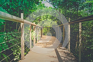 Wooden sky walk or walkway cross over treetop surrounded with green natural and sunlight background.