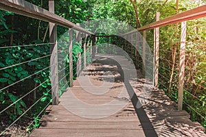 Wooden sky walk or walkway cross over treetop surrounded with green natural and sunlight background.