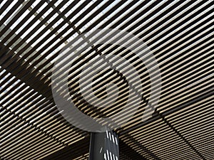 Wooden slat roof with sunlight streaming through.