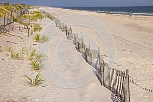 A wooden slated sand fence is partly buried in an ocean beach dune.