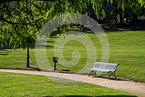 Wooden slatted bench in a verdant green park with neat lawns and woodland trees at the side of a walkway or path