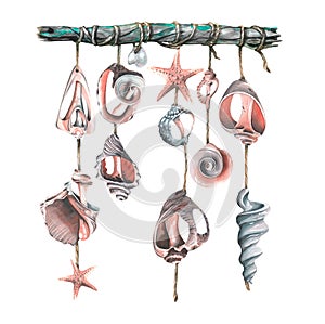 A wooden snag with broken seashells and sea stars suspended. Watercolor illustration. Decorative element from the