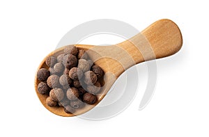 Wooden spice shovel full of allspice pimento berries cutout. Jamaica pepper grains in a wooden spoon isolated on a white