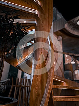 Wooden spiral staircase in a restaurant with green plant