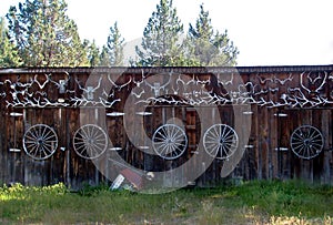 Wooden spoked wheels and deer antler as barn decoration photo