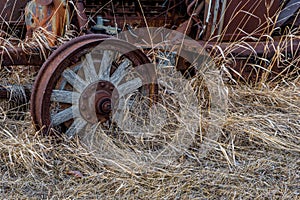 Wooden spokes to vintage car buried in tall grass on the prairies in Saskatchewan