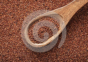 Wooden spoon of brown organic healthy bolivian quinoa balanda grain seed.Macro