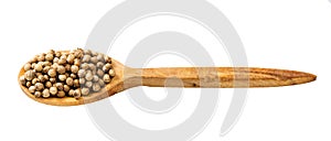 Wooden spoon with coriander seeds isolated