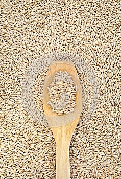 Wooden spoon and dried husked oats