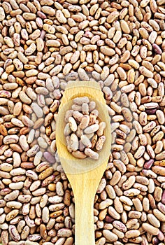 Wooden spoon and dried pinto beans
