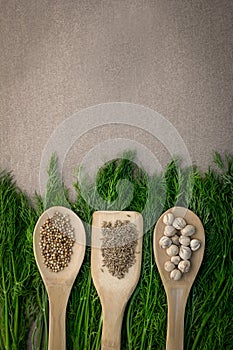 Wooden Spoon filled with colorful spices with green herb