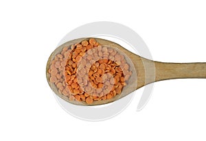 Wooden spoon full of red grosbeak
