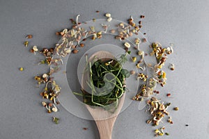 Wooden spoon of microgreens and mung and lentil sprouts isolated on grey background flat lay