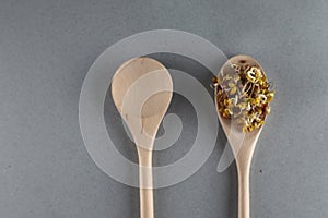 Wooden spoon of mung and lentil sprouts and empty wooden spoon  on grey background flat lay