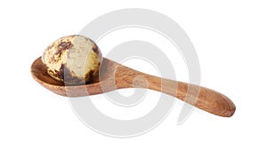 Wooden spoon with quail egg isolated on white