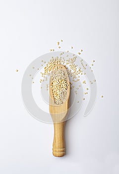A wooden spoon with quinoa seeds