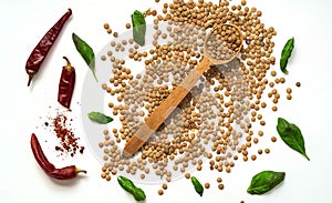 Wooden Spoon and Raw lentils and spices isolated on white background. The concept of cereals organic products, healthy diet