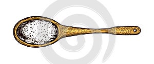 Wooden spoon with Sea salt. Powdered powder and bunch of seeds. Vintage background poster. Engraved hand drawn sketch.