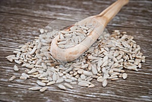 A wooden spoon with sunflower seeds