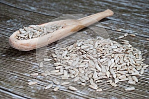 A wooden spoon with sunflower seeds