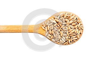 Wooden Spoon With Wheat Grains
