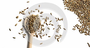 Wooden spoon with wheat grains on white background