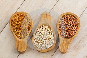 Wooden spoons with assorted grains of super foods, gluten free