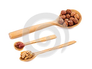 Wooden spoons full of hazelnuts and walnuts