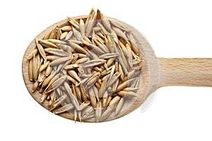 Wooden spoons - oats