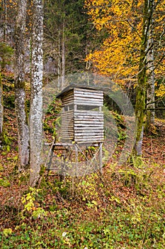 Wooden stable hunting blind hunting hide in a forest