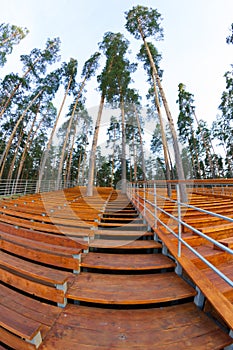 Wooden staduim in forest