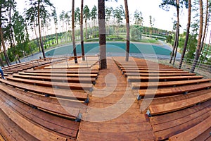 Wooden staduim in forest