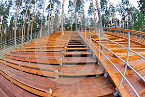 Wooden staduim in forest