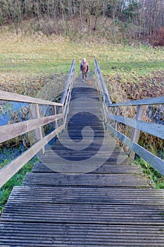 Wooden stair steps and railings over a stream, woman with her dog in background