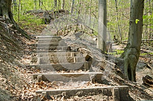 Wooden staircase in the forest on hiking hill.