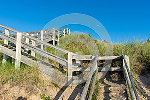 A wooden staircase going down to the beach with a beautiful blue sky and marsh grass in the sand at Pinery Provincial Park,