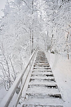 Wooden staircase going up and covered in snow. Stairs going trough a snowy forest with snow covered deciduous trees like birch