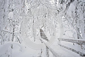 Wooden staircase going up and covered in snow. Stairs going trough a snowy forest with snow covered deciduous trees like birch