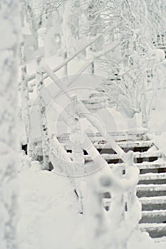 Wooden staircase going up and covered in snow. Stairs going trough a snowy forest with snow covered deciduous trees like birch