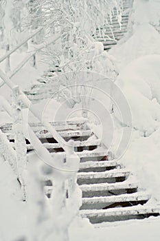 Wooden staircase going up and covered in snow. Stairs going trough a snowy forest with snow covered deciduous trees like birch