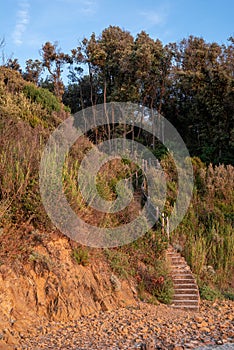 Wooden staircase leading to a cove of sea, Cala Violina Tuscany