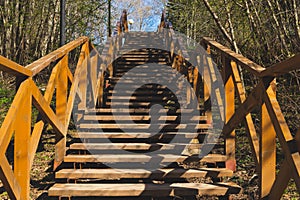 Wooden staircase in the park. stairs made from the wood in the forest