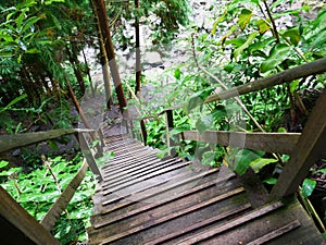 Wooden staircase of the Parque da Grena natural park on the island of Sao Miguel in Azores