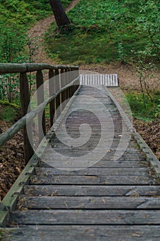 A wooden staircase in a pine forest in the dunes by the sea