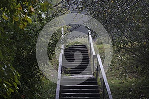 Wooden staircase during rainstorm