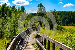 Wooden stairs in forest are leading upwards seamed by moss covered stones and the wooden railing in a spring scenery in